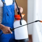 شركة مكافحة حشرات في مردف