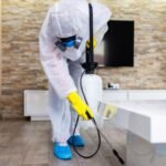 شركة مكافحة حشرات في الصجعة