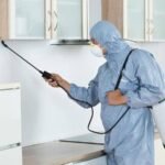 شركة مكافحة حشرات في الشارقة