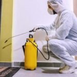 شركة مكافحة حشرات في راس الخيمة