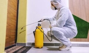 شركة مكافحة حشرات في راس الخيمة